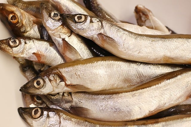 Benefícios do Peixe