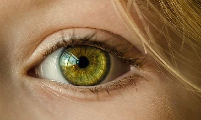 saúde dos olhos